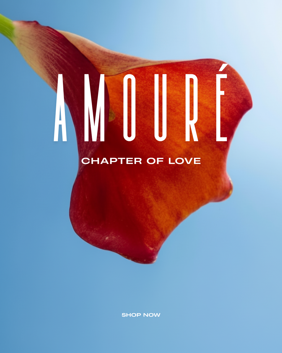 Amouré - chapter of love